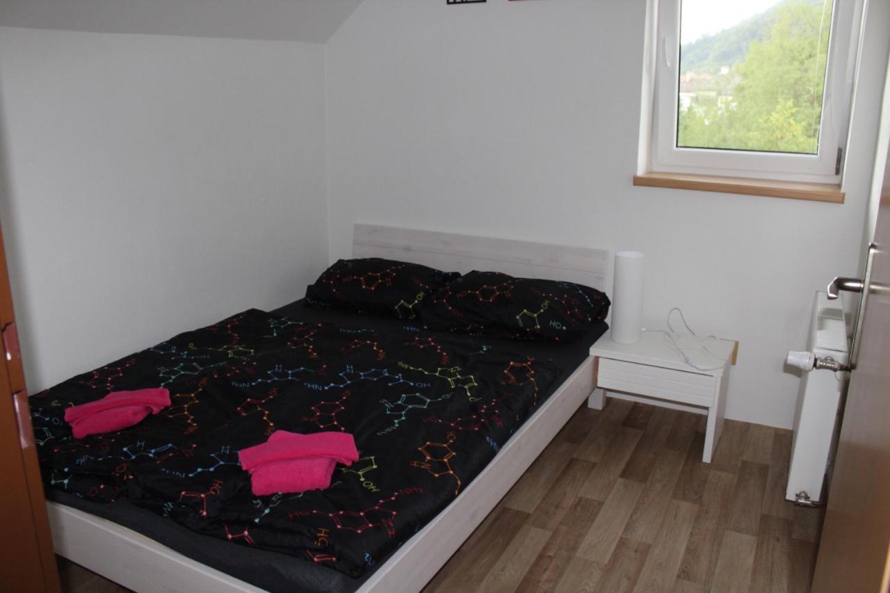 Apartman Rapotin, Jesenicka 296, 3Km Od Termalniho Parku Velke Losiny 外观 照片